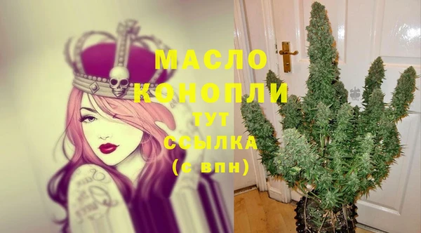 стаф Дмитриев