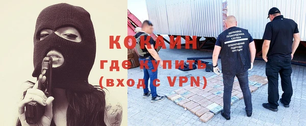 стаф Дмитриев